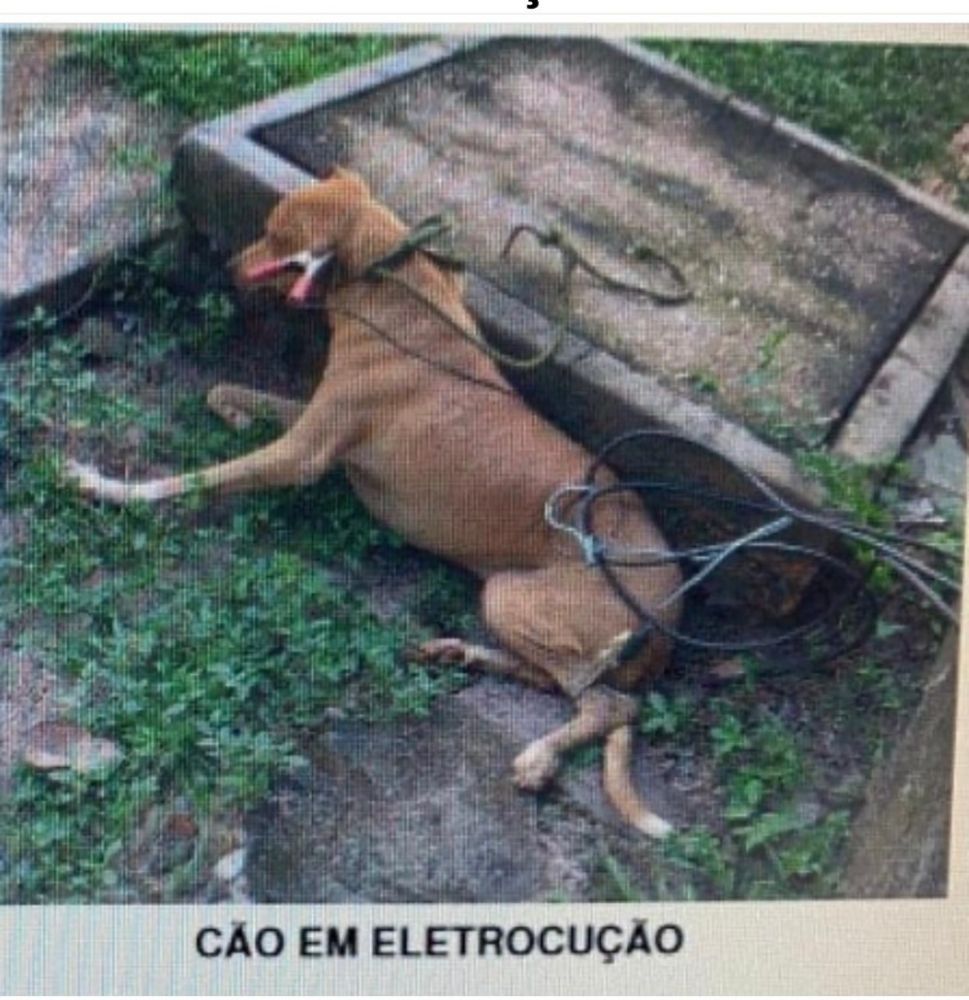 Foto antiga de outras Gest&otilde;es 
