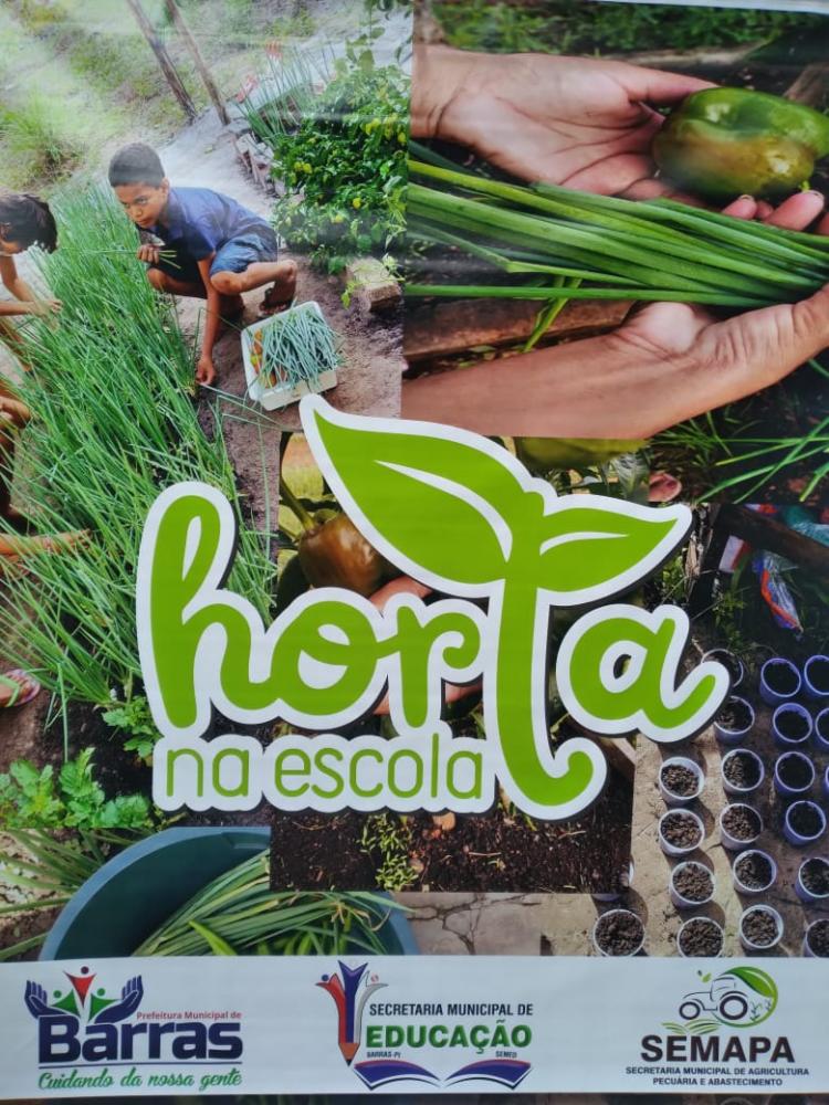Assessoria de Comunicação 