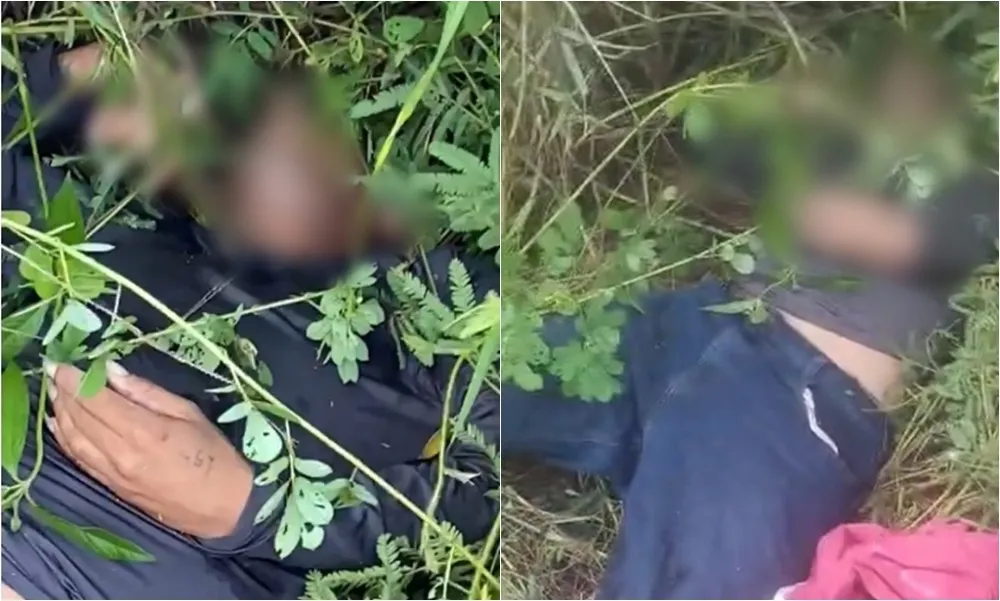 Foto: Reprodução