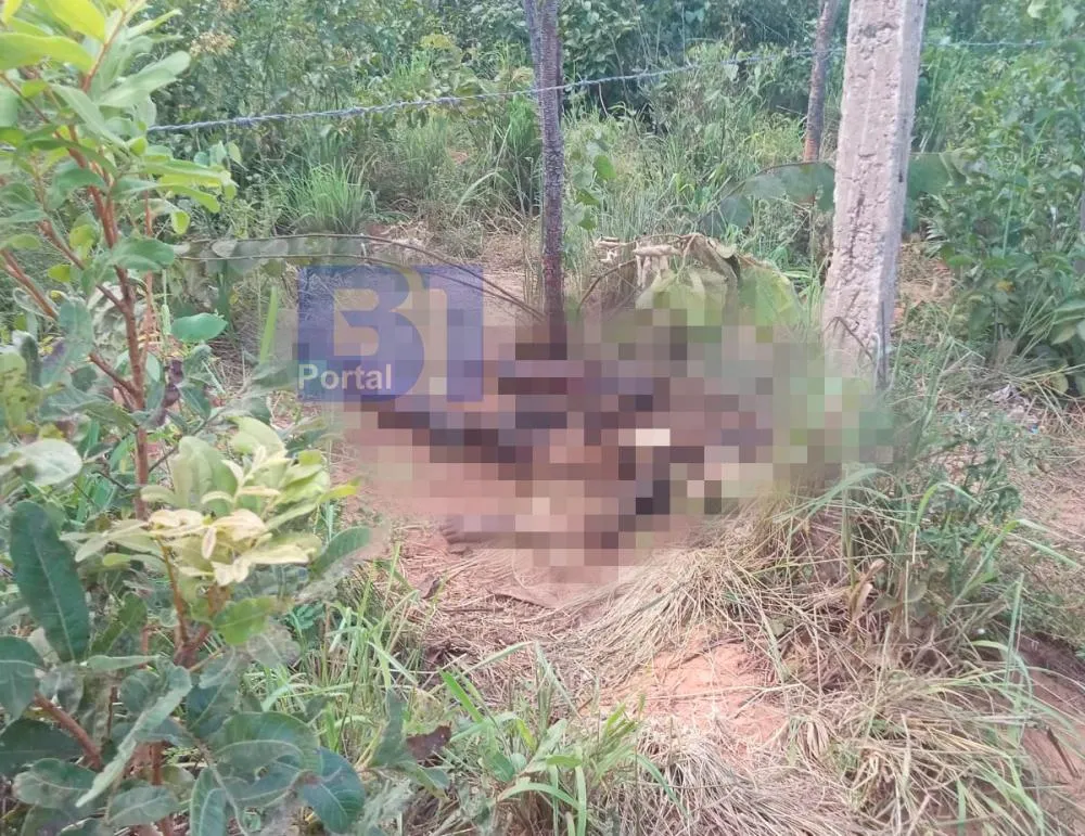 FOTO: REPRODUÇÃO Corpo em estado avançado de decomposição é encontrado em Monte Alegre