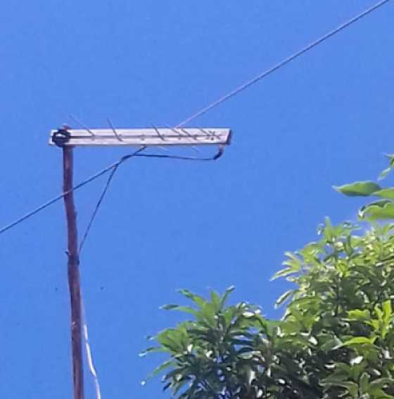 PI: Homem morre eletrocutado em sua própria casa após poda de árvores