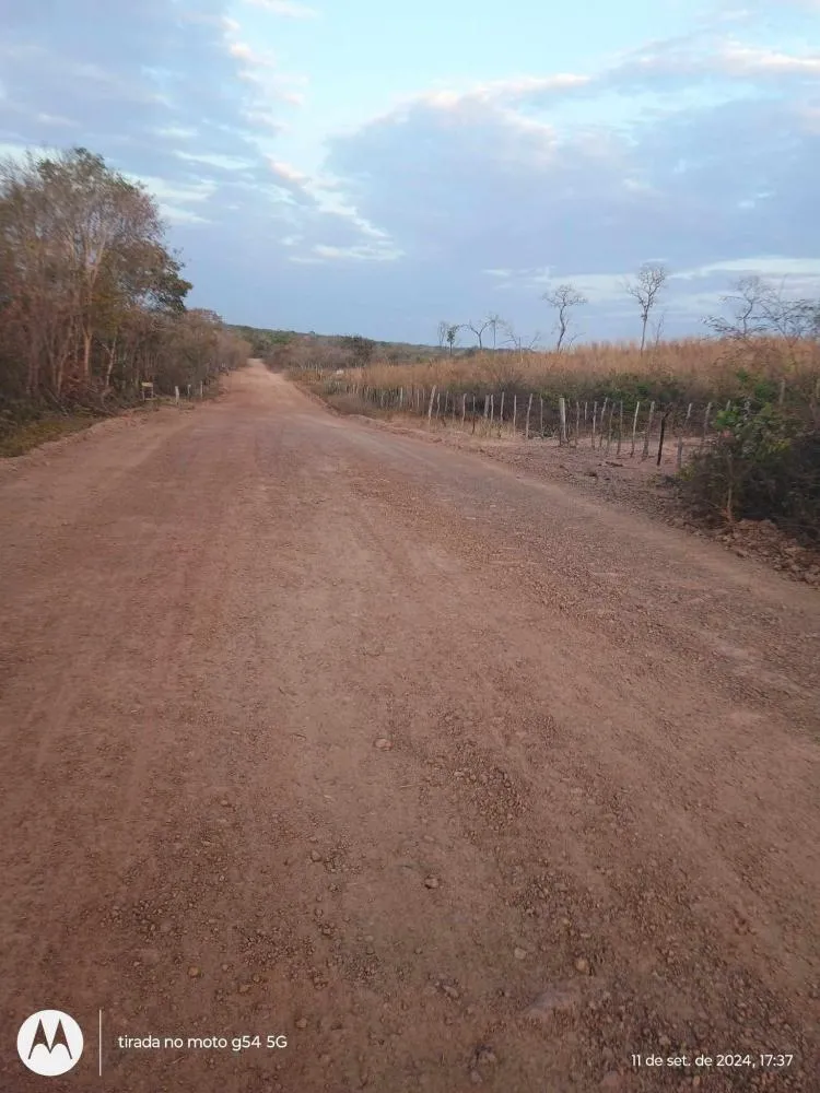 ibarras24hs 