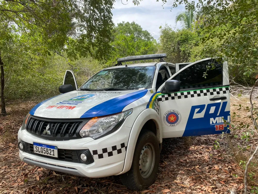 Foto: Conecta Piauí Viatura da Polícia Militar (PM-PI)