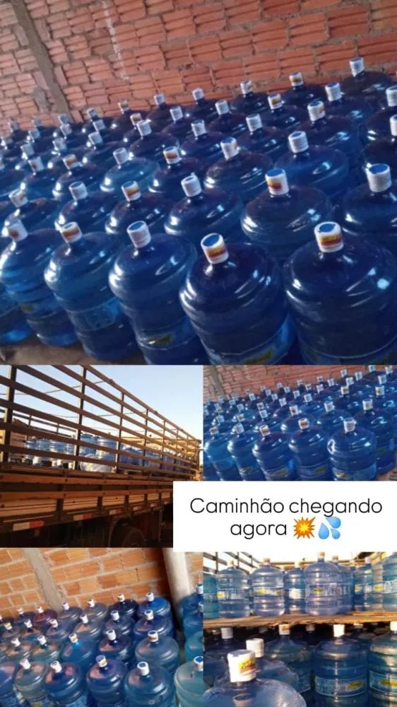Divulgação 