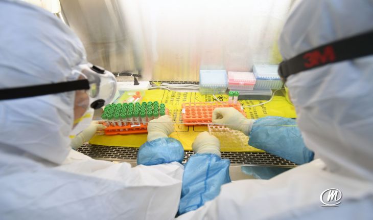 Teresina soma agora 1.708 casos registrados de infecção pelo novo coronavírus