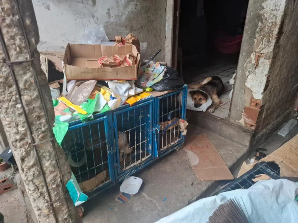 Foto: Reprodução