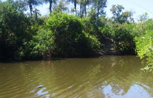 Foto: realidade em foco
