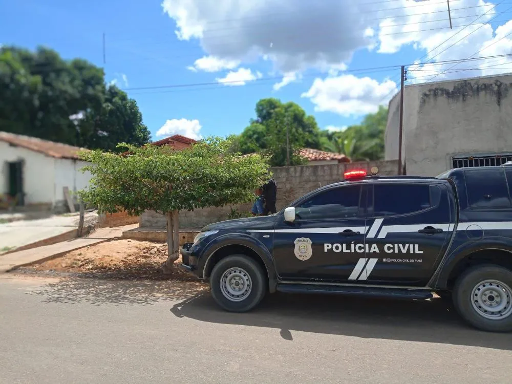 Foto: Reprodução / SSP-PI