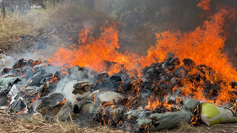 Polícia Civil incinera mais 1,5 tonelada de drogas apreendidas em Teresina