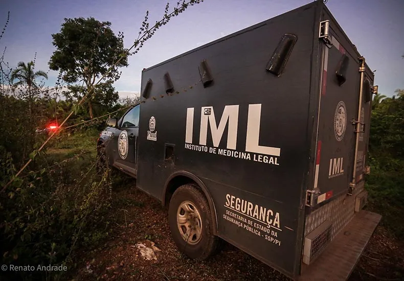 Ossada humana é encontrada em área de matagal na zona Sul de Teresina