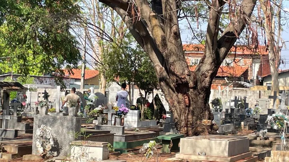 Foto: Najla Fernandes / TV Cidade Verde