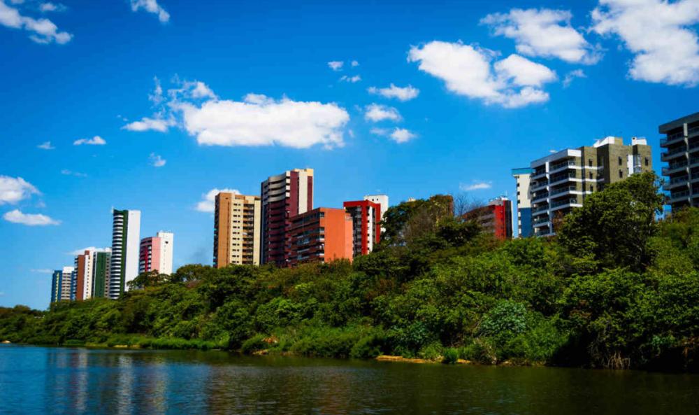 reprodução