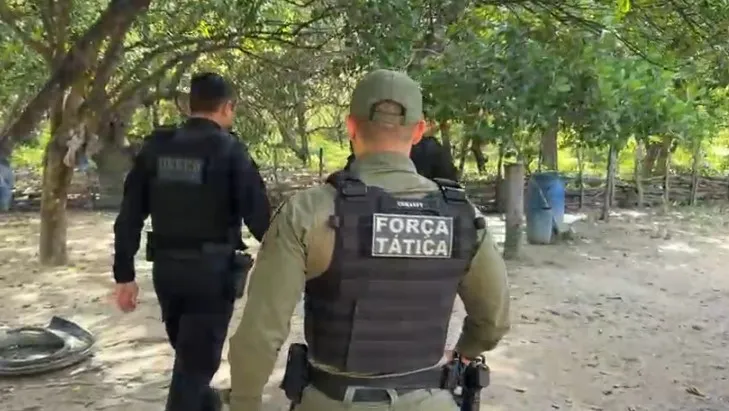 Foto: Reprodução / Polícia Civil