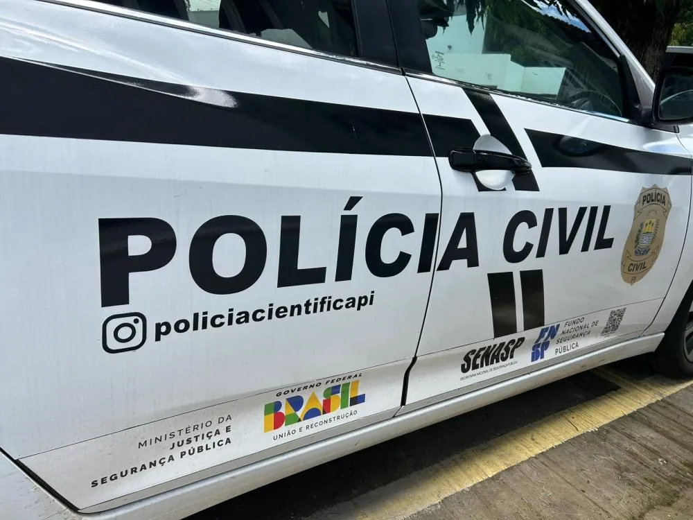 Polícia Civil PC-PI