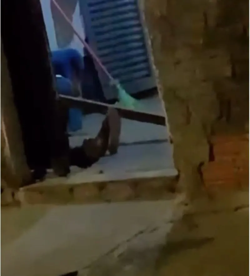 Foto: Reprodução