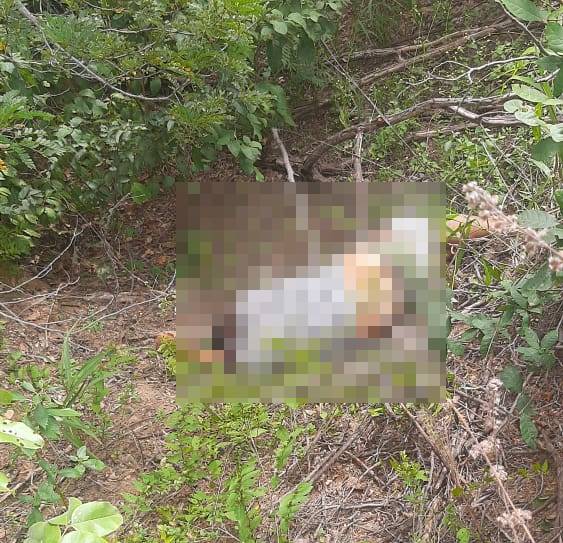 Irmão de prefeita de cidade do Piauí é encontrado morto em estrada