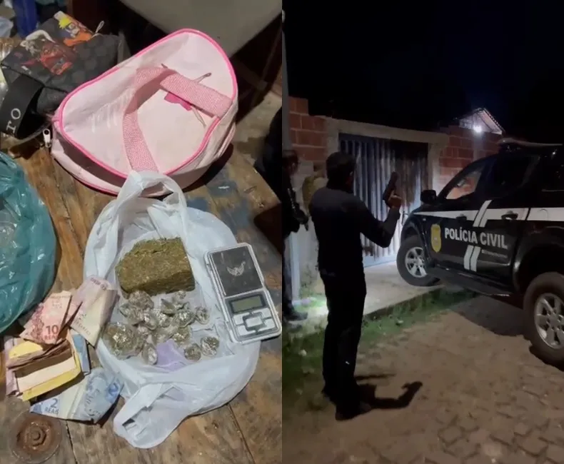 Reprodução 