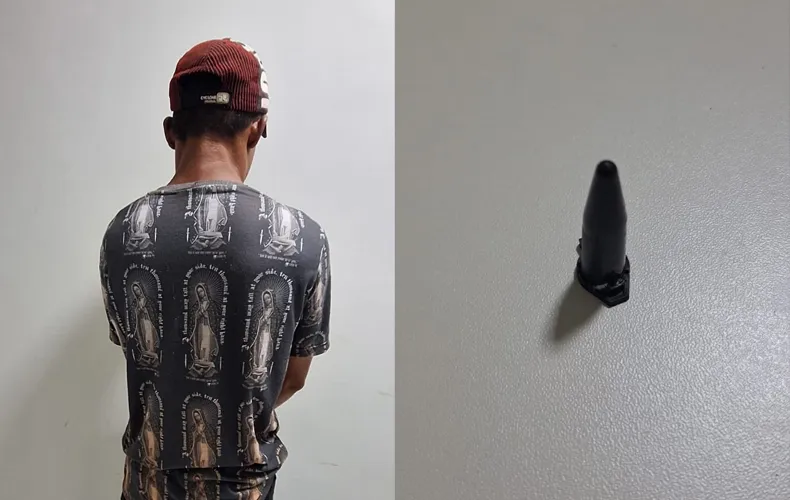 Reprodução 