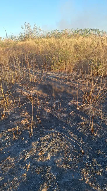 Ossada humana é encontrada próximo a aterro sanitário durante combate a incêndio em Corrente