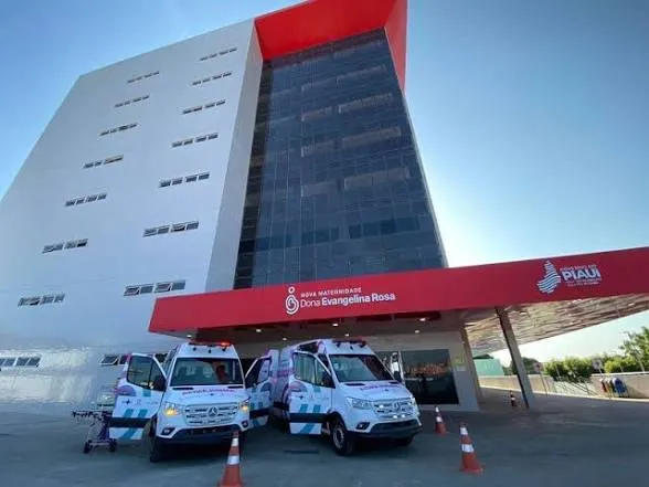 Tia revela como encontrou bebê em bolsa e impediu retirada em maternidade no PI