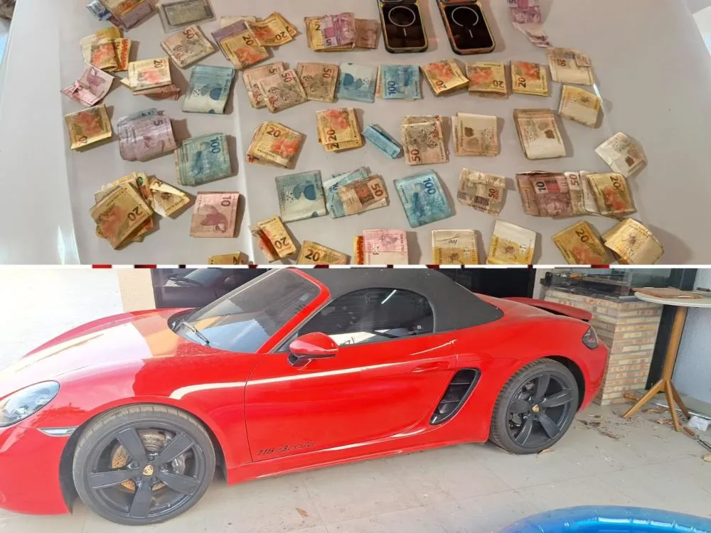 Reprodução