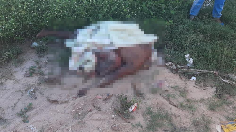 Dois corpos são encontrados sem cabeças na zona Norte de Teresina