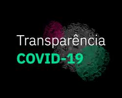 Covid-19: MPPI recomenda que municípios da comarca de Porto criem abas específicas em seus Portais da Transparência