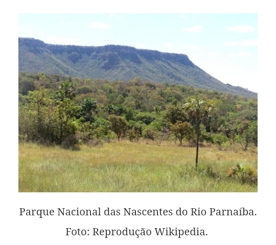 Foto: Wikipedia 