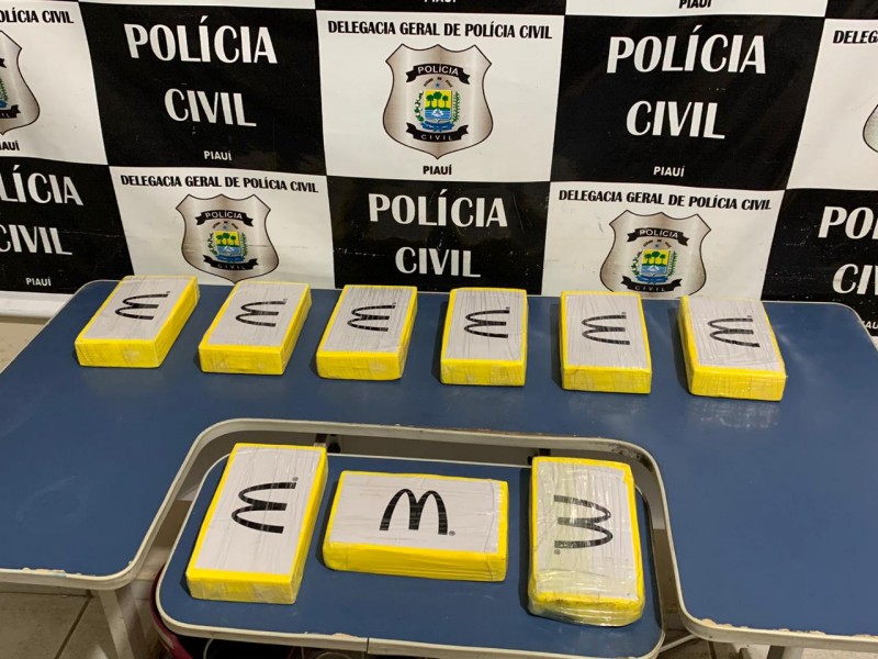 Picos PI: Cão farejador encontra 9,5kg de pasta de cocaína 