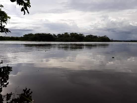Barras PI: Nível do Rio Marataoan voltou a subir, informa boletim da CPRM