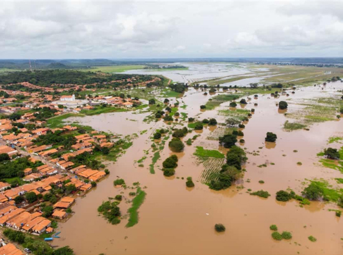 Miguel Alves PI: Enchente do rio Parnaíba acaba com plantação de arroz