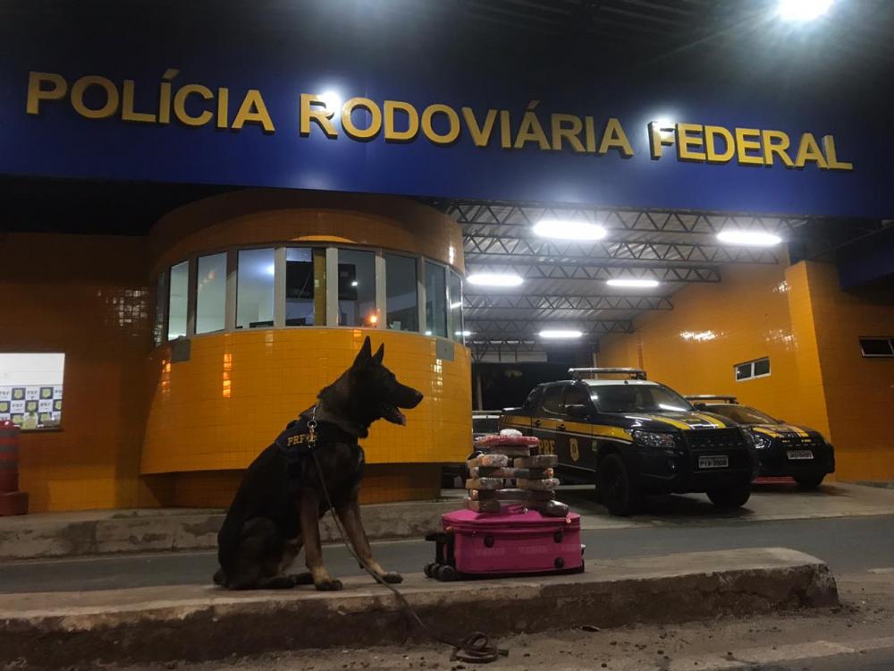PRF apreende drogas em mala dentro de ônibus / Divulgação