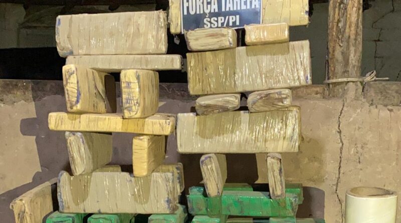Teresina: Força Tarefa apreende 50 kg de maconha enterrada em sítio; dois homens foram presos