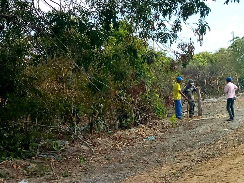 Prefeito de Boa Hora PI é acusado pela proprietária de incentivar invasão de terra no município 