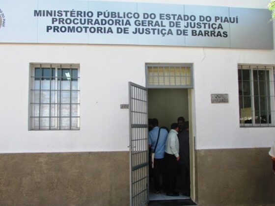 MPPI obtém sentença favorável para destituição de conselheira tutelar que apresentou certificado falso