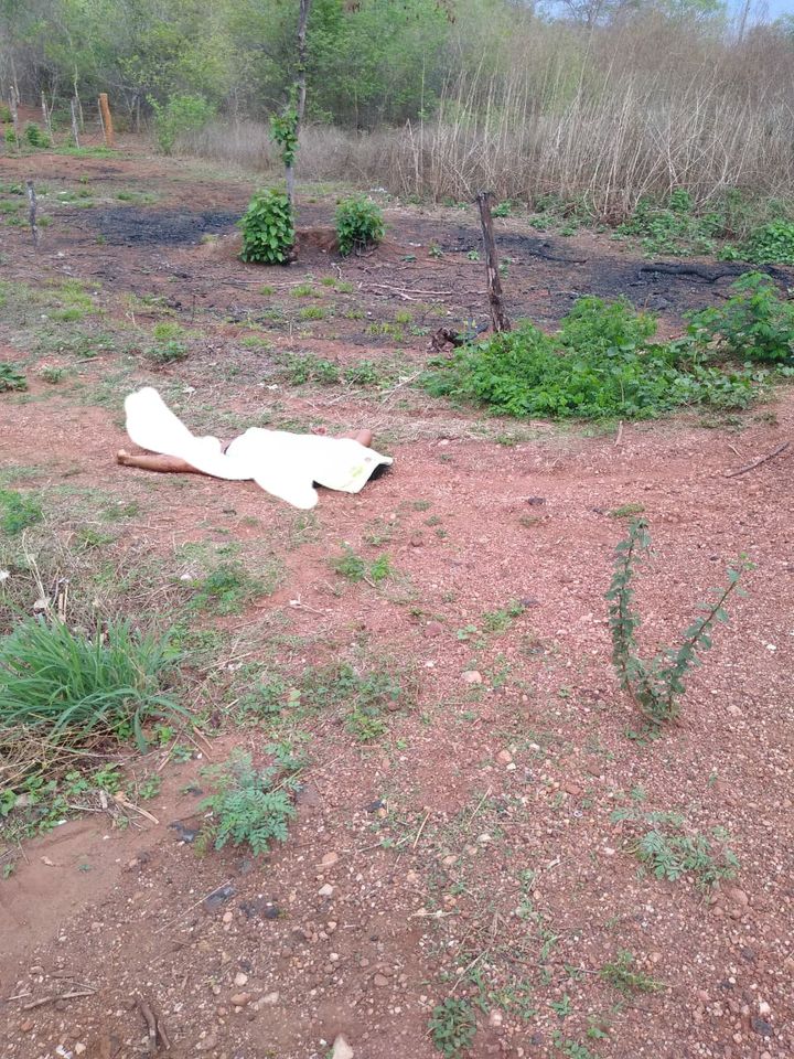 FEMINICÍDIO: Ex. Companheiro mata ex com golpes de faca na zona rural de Corrente