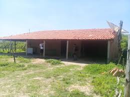 Homem de 70 anos é encontrado morto em sítio na região sul do Piauí