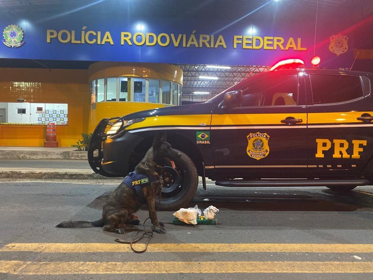 Passageiro de ônibus é preso com drogas avaliadas em R$ 53 mil na BR-230