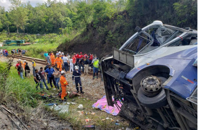 Foto: CBMG/Divulgação