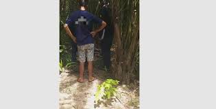 Corpo com rosto desfigurado é encontrado em matagal de Miguel Alves PI