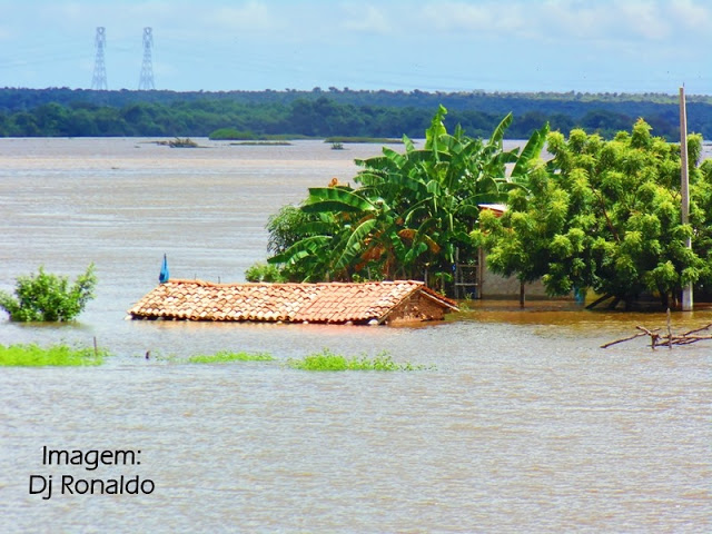 Cheia dos rios Parnaíba e Longá deixa casas cobertas pela água em Barra do Longá