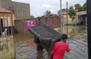 Barras PI: Dados oficiais da Defesa Civil são mais de 623 famílias tiveram que abandonar seus lares em Barras PI