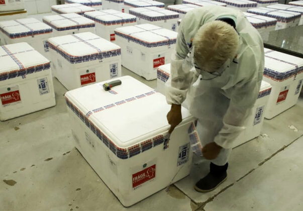 Sesapi divulga quantidade de vacinas enviadas a cada município; veja tabela