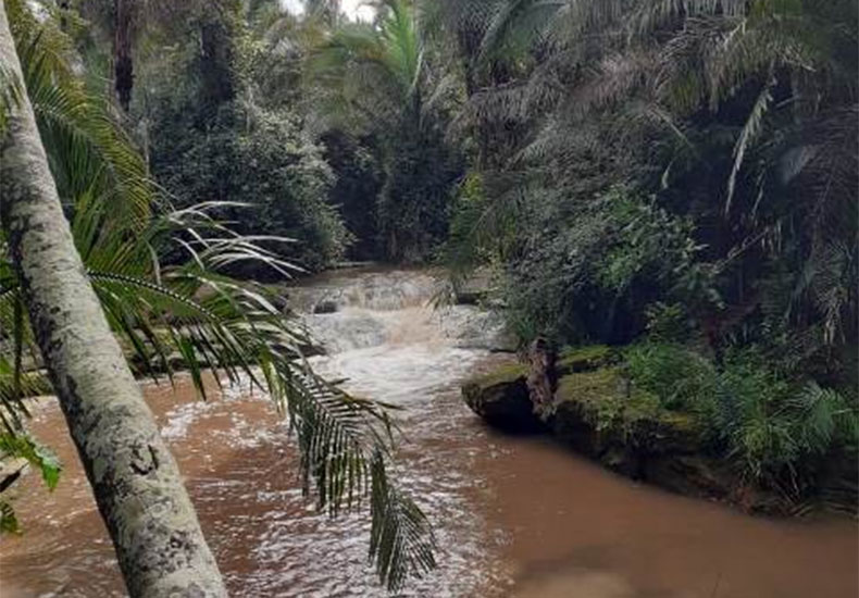 Jovem morre ao ser atingida por palmeira durante banho de cachoeira no Piauí