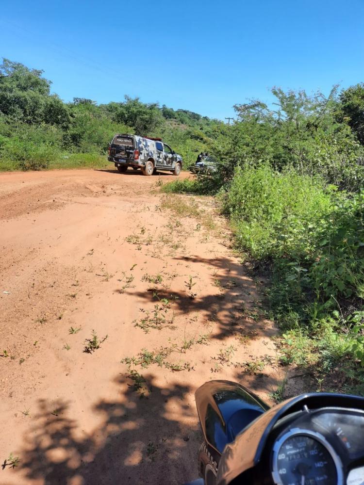 Homem é preso com vários animais furtados dentro de carro em cidade do Piauí