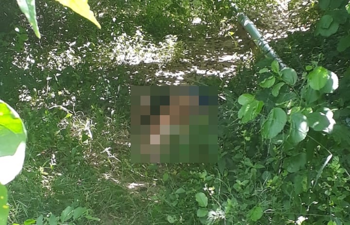 Jovem é assassinada com tiro na cabeça perto de rio na Zona Norte de Teresina