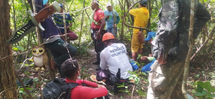 Equipes com cães farejadores buscam idoso com alzheimer perdido na mata de Barras PI 