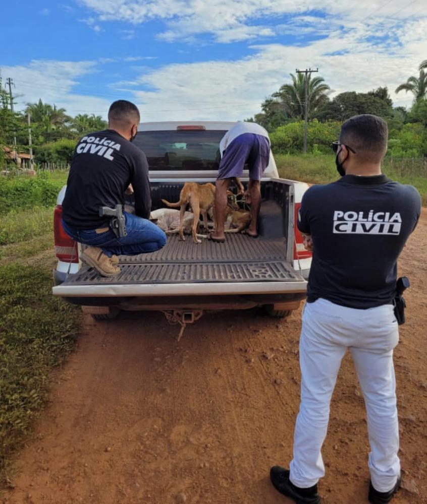 Operação Carmelo em Barras PI prende homem por maus tratos a animais