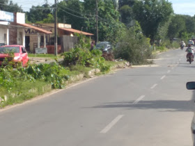 Projeto de jardinagem e replantio de novas árvores para avenida Dirceu Arcoverde em Barras PI 