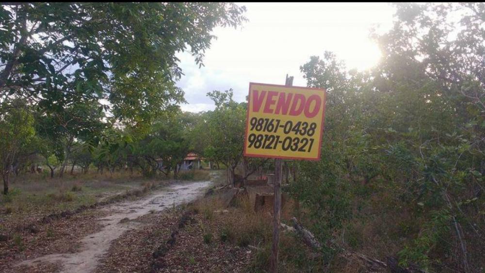 Vende-se ótimo terreno com 09 hectares, casa de varanda e um sistema de abastecimento de água na localidade Passatudo em Barras PI 